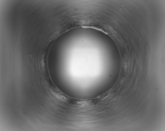 X0000071960516200607212256