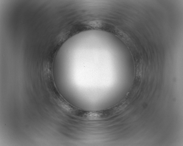 X0000071960518200607212255