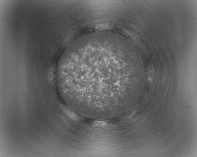 X0000071960519200607212255