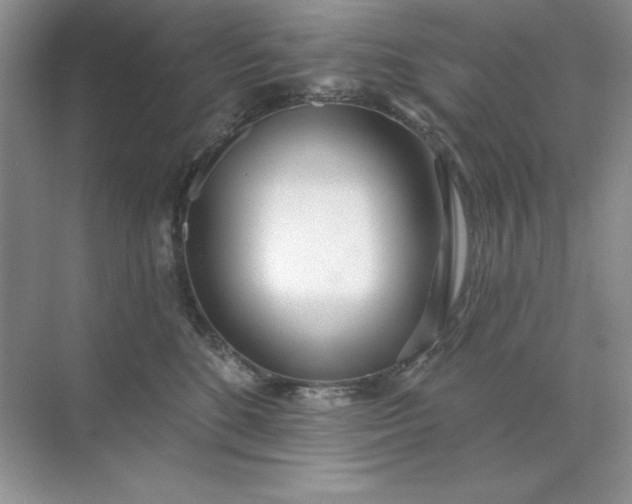 X0000071960520200607212255