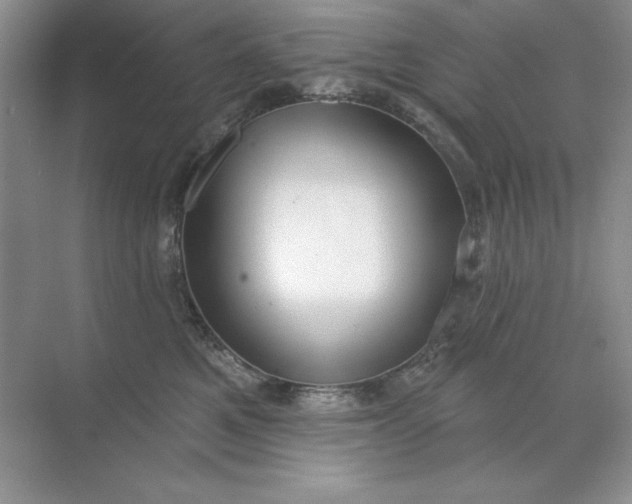 X0000071960521200607212255