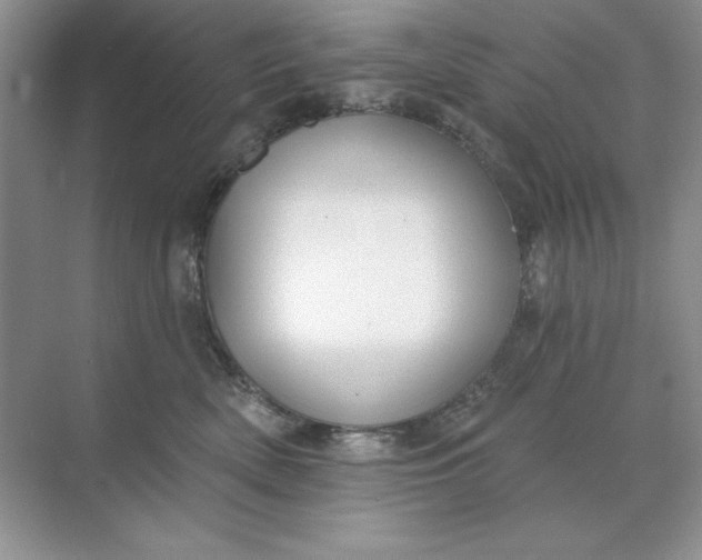 X0000071960522200607212255