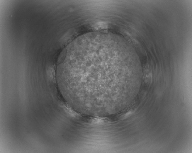 X0000071960523200607212255