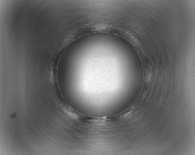 X0000071960524200607212255