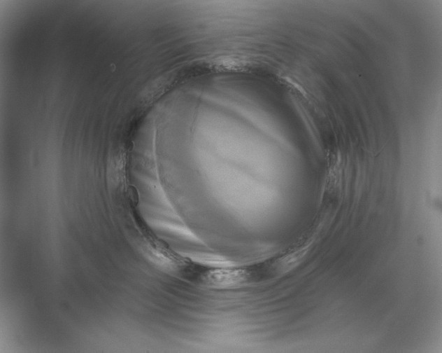 X0000071960526200607212255