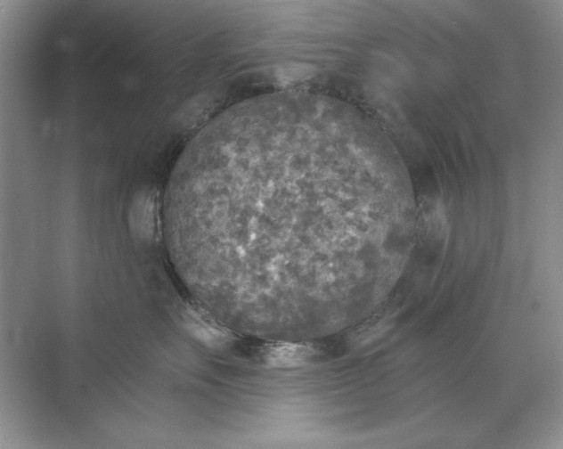 X0000071960527200607212255