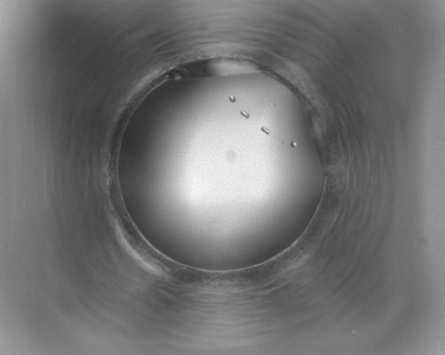 X0000071960530200607212255