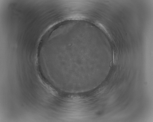 X0000071960531200607212255