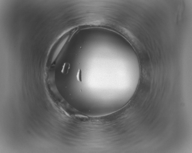 X0000071960532200607212255