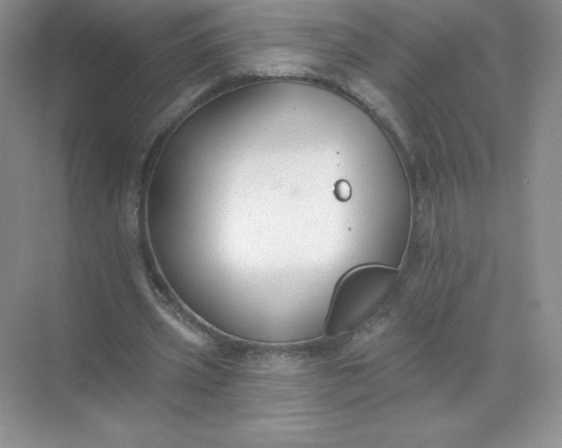 X0000071960533200607212255