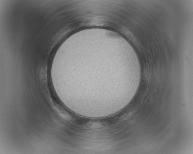 X0000071960534200607212255