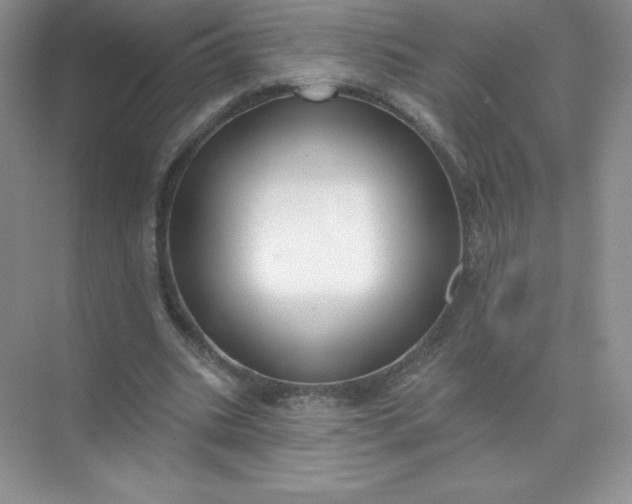 X0000071960535200607212255