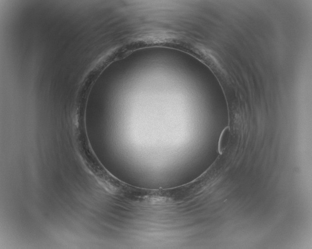 X0000071960539200607212255