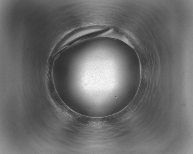 X0000071960540200607212255