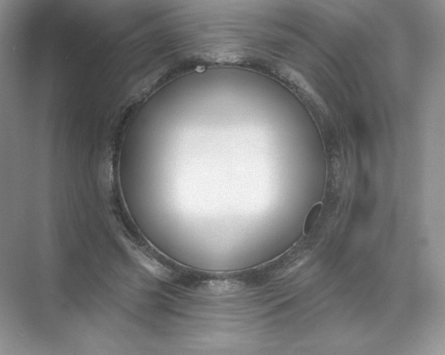 X0000071960541200607212255