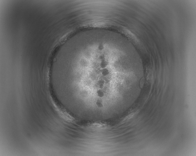 X0000071960542200607212255