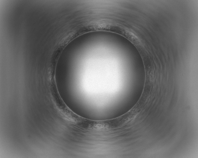 X0000071960546200607212255