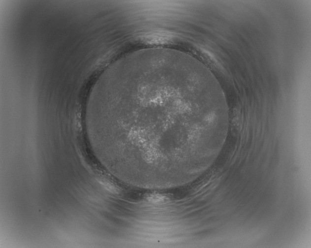 X0000071960547200607212255