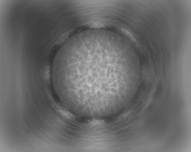 X0000071960549200607212255