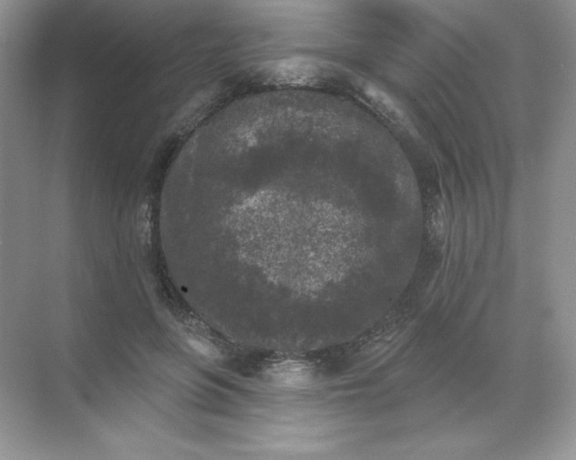 X0000071960551200607212255