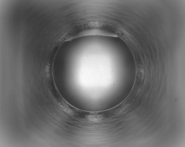 X0000071960556200607212255