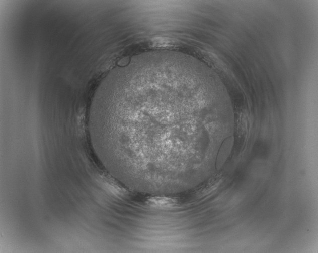 X0000071960557200607212255