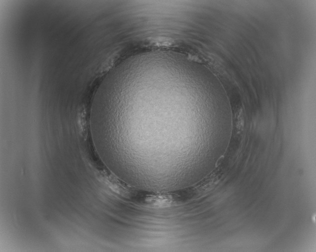 X0000071960559200607212255