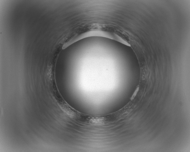 X0000071960560200607212255