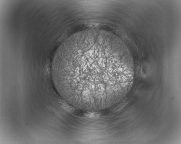 X0000071960561200607212255