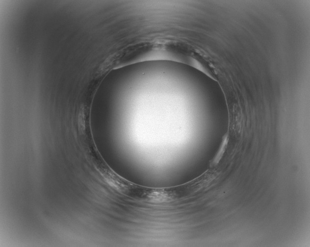 X0000071960562200607212255