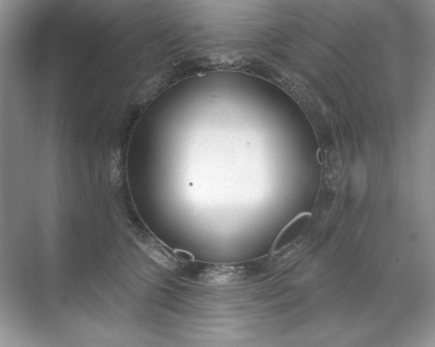 X0000071960563200607212255