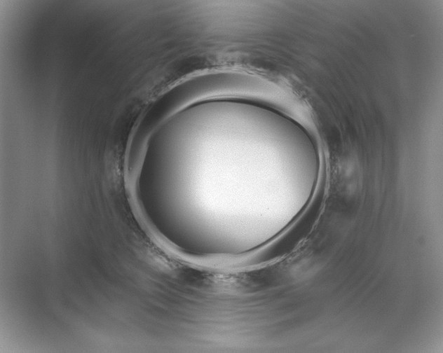 X0000071960566200607212255