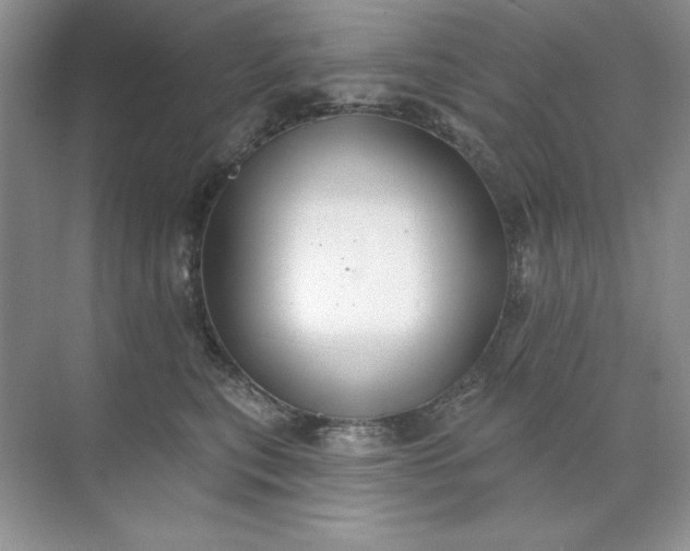 X0000071960567200607212255