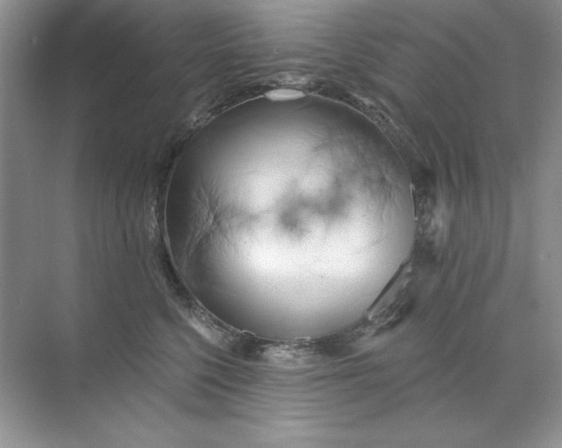 X0000071960568200607212255