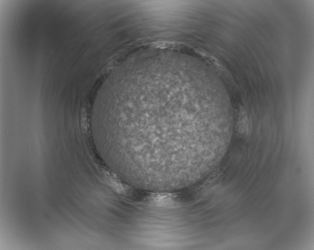 X0000071960569200607212255