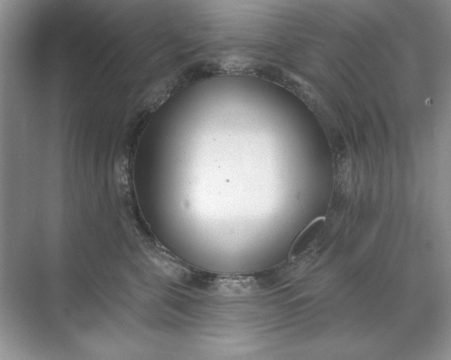 X0000071960571200607212255