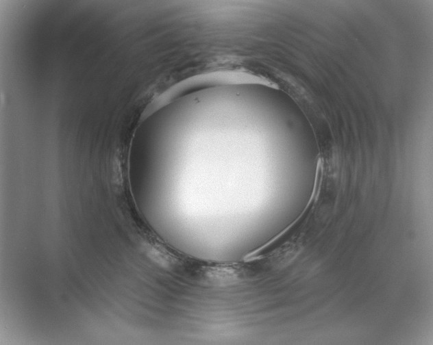 X0000071960572200607212255