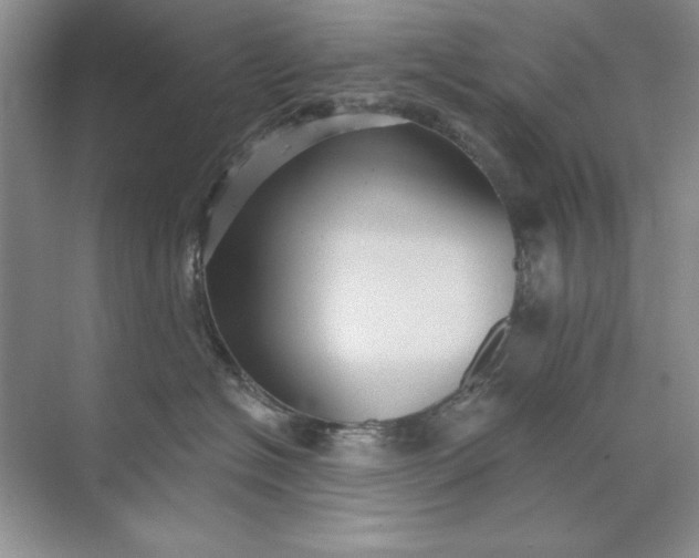 X0000071960574200607212255