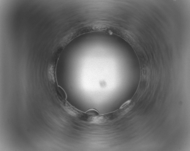 X0000071960575200607212255