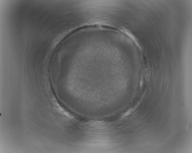 X0000071960577200607212254