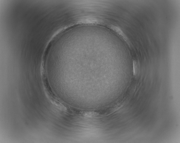 X0000071960579200607212254