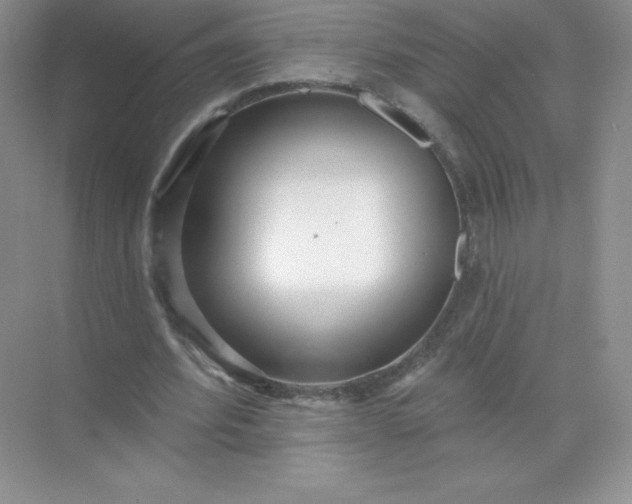 X0000071960580200607212254