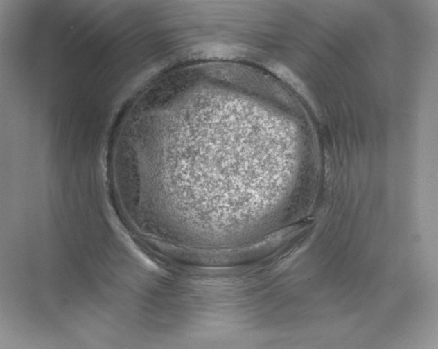 X0000071960581200607212254