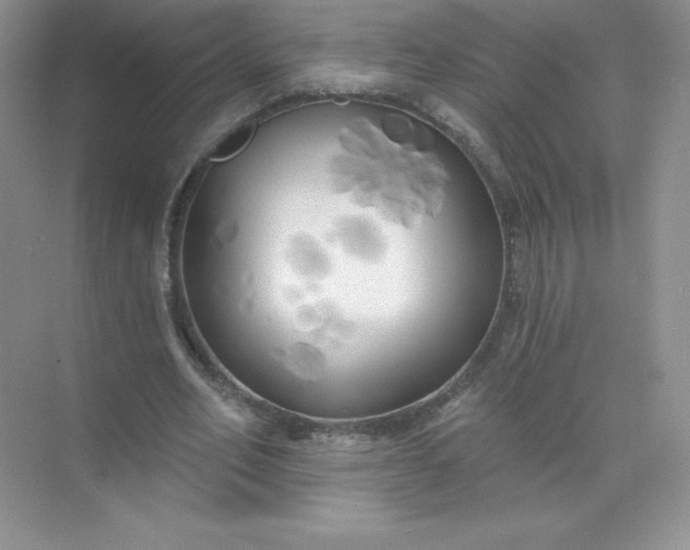 X0000071960582200607212254