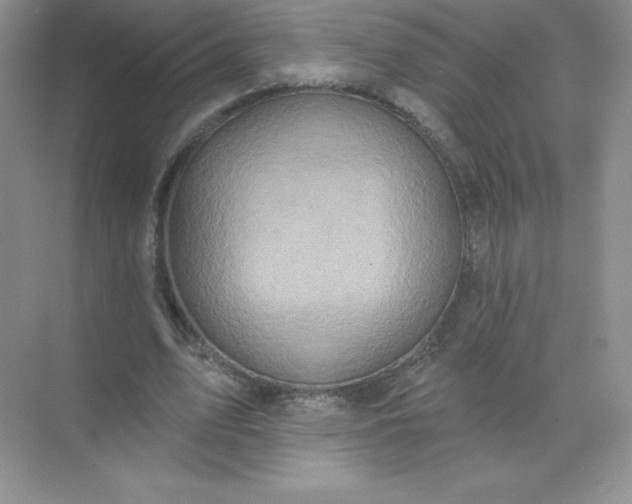 X0000071960583200607212254