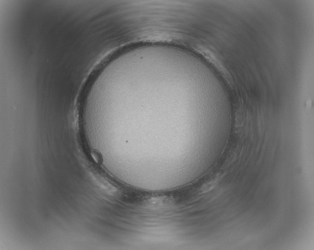 X0000071960584200607212254