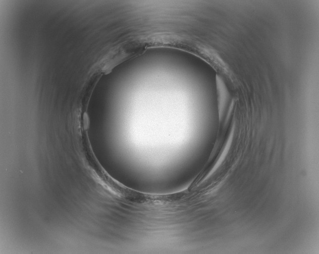 X0000071960585200607212254