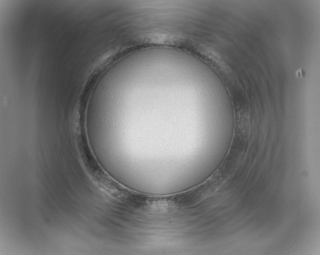 X0000071960587200607212254