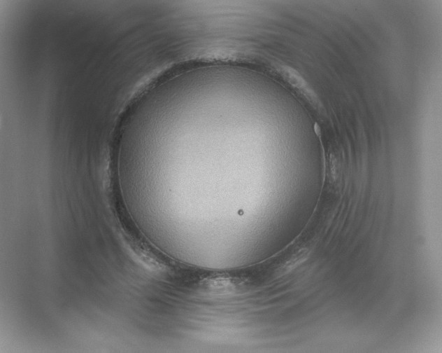 X0000071960588200607212254