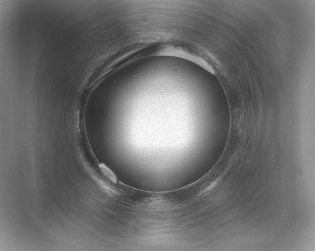 X0000071960589200607212254